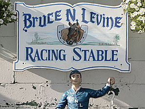 Levine Bags First Training Title Levine Bags First Training Title