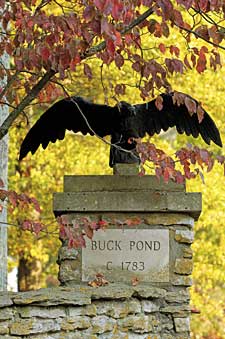Buck Pond Releases 2008 Stallion Fees Buck Pond Releases 2008 Stallion Fees