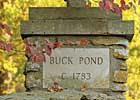 Buck Pond Releases 2008 Stallion Fees Buck Pond Releases 2008 Stallion Fees