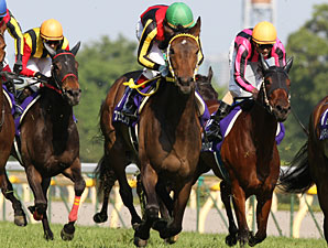 Buena Vista Proves Best in Victoria Mile Buena Vista Proves Best in Victoria Mile