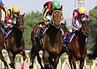 Buena Vista Proves Best in Victoria Mile