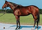 Burning Roma's First Winner