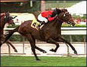 Stretch Run Wins Carleton Burke for Cagney Stretch Run Wins Carleton Burke for Cagney