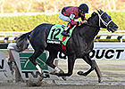 Cairo Prince Registers Decisive Win in Nashua Cairo Prince Registers Decisive Win in Nashua