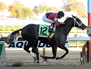 Cairo Prince Meets Honor Code in Solid Remsen Cairo Prince Meets Honor Code in Solid Remsen