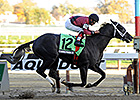 Cairo Prince Meets Honor Code in Solid Remsen Cairo Prince Meets Honor Code in Solid Remsen
