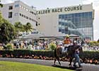 Juveniles Showcased Saturday at Calder