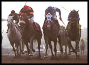 Calkins Road Finds Clear Sailing in Cal Cup Classic Calkins Road Finds Clear Sailing in Cal Cup Classic