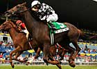 Nassau Reprise On Tap in Dance Smartly
