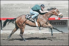 Richter Scale Colt Tops Barretts Workouts Richter Scale Colt Tops Barretts Workouts