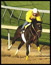 Came Home's Haskell Status in Question Came Home's Haskell Status in Question