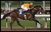 Came Home Impressive in San Vicente Stakes Came Home Impressive in San Vicente Stakes