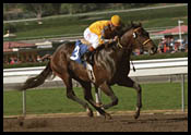 Steve Haskin's Derby Report: Mission Impossible? (2/4/2002) Steve Haskin's Derby Report: Mission Impossible? (2/4/2002)