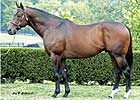 Canadian Frontier Gets First Winner 