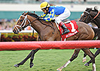 Candy Kitty Seeks Third Straight Stakes Win Candy Kitty Seeks Third Straight Stakes Win