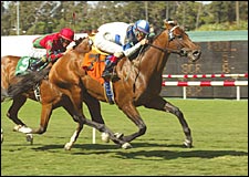 Candy Ride Claims Sweet American 'Cap Win Candy Ride Claims Sweet American 'Cap Win