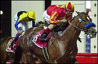 Dubai World Cup Report: Captain Steve Triumphs Dubai World Cup Report: Captain Steve Triumphs
