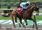 Casino Drive Waits for Belmont Casino Drive Waits for Belmont