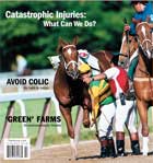 Special Report: Catastrophic Injuries Special Report: Catastrophic Injuries