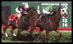 Cellars Shiraz Pays $39 for Herecomesthebride Stakes Win Cellars Shiraz Pays $39 for Herecomesthebride Stakes Win