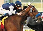 Celtic Dreamin Set for Crystal Water