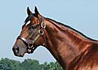 Champali's First Winner