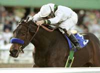 Chilukki Turns Tables on Spain, Wins El Encino Chilukki Turns Tables on Spain, Wins El Encino