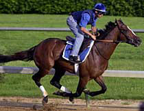 China Visit Ends Layoff With Nad Al Sheba Victory China Visit Ends Layoff With Nad Al Sheba Victory