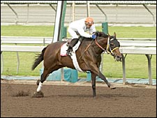 Island Sand, Artie, Happy Ticket Work at Belmont; Singletary, Choctaw Nation on West Coast Island Sand, Artie, Happy Ticket Work at Belmont; Singletary, Choctaw Nation on West Coast