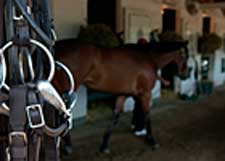Quarantine Lifted for Half of Barn at Churchill Downs Quarantine Lifted for Half of Barn at Churchill Downs