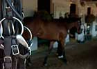 Quarantine Lifted for Half of Barn at Churchill Downs