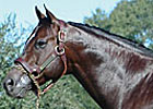 City Place's First Winner