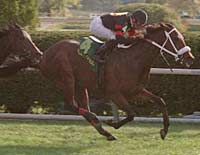 Longshots Collect the Cash in Queen Elizabeth II Cup Longshots Collect the Cash in Queen Elizabeth II Cup