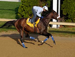 Kentucky Derby Trail: California Comets Kentucky Derby Trail: California Comets