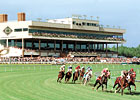 Colonial Downs to Hold 25-Day Meet in 2013