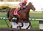 Commander, Madeira Park Win Hastings Stakes Commander, Madeira Park Win Hastings Stakes