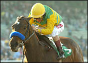 Rubber Match for Composure, Elloluv in Santa Anita Oaks Rubber Match for Composure, Elloluv in Santa Anita Oaks