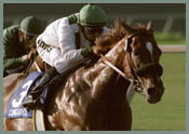 Del Mar Race Report (Cont.) Del Mar Race Report (Cont.)