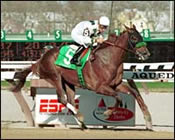 Congaree Attempts to End Frankel Run in San Diego Handicap Congaree Attempts to End Frankel Run in San Diego Handicap