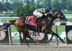 Plans Undetermined for Memorial Day Winners Plans Undetermined for Memorial Day Winners