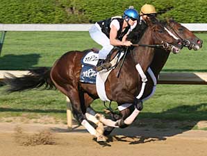 Ky. Derby Trail: Welcome to Louisville Ky. Derby Trail: Welcome to Louisville