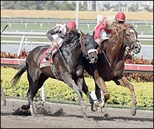 Corinthian Gets Grade in Gulfstream Park Handicap Corinthian Gets Grade in Gulfstream Park Handicap