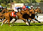Immortelle Needs Better Luck in 'Barbara