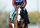 Breeders' Cup Chat: Live Longshots