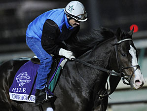 Courageous Cat Faces Goldikova Again in Mile Courageous Cat Faces Goldikova Again in Mile