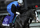 Courageous Cat Faces Goldikova Again in Mile