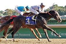 Court Vision Sees Clearly in Iroquois Score Court Vision Sees Clearly in Iroquois Score