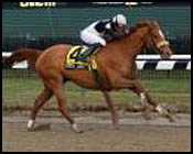Coyote Lakes Earns Second 2001 Gallant Fox Victory Coyote Lakes Earns Second 2001 Gallant Fox Victory