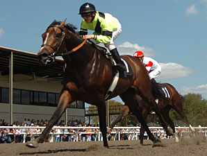 Crafty Unicorn Wins OBS Championship in Debut Crafty Unicorn Wins OBS Championship in Debut
