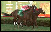 Crash Course Drives to Mac Diarmida Victory Crash Course Drives to Mac Diarmida Victory